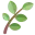 rainydevelopment.xyz